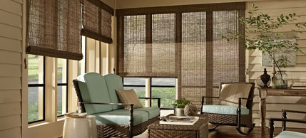 Blinds covering windows