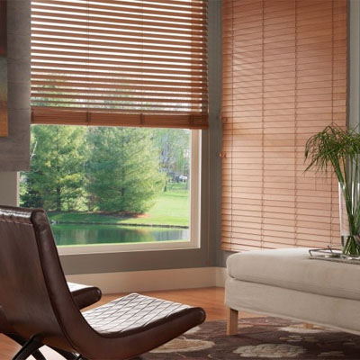 Window blinds